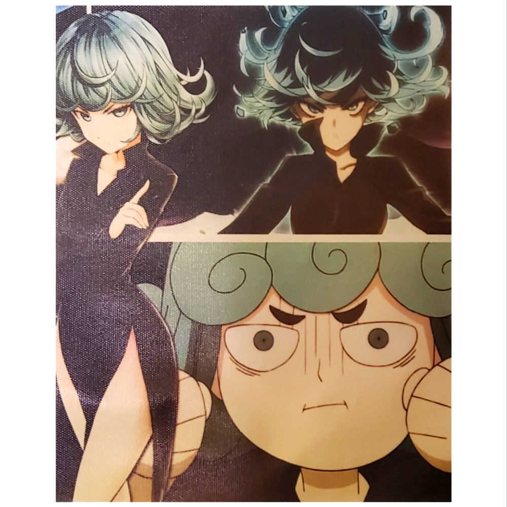 One Punch Man Anime Canvas